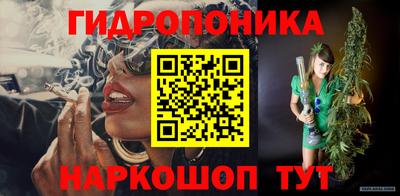 наркотики Сланцы