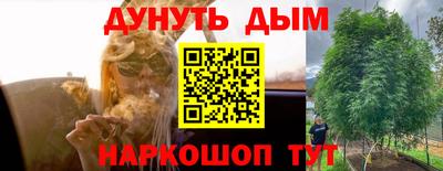 наркотики Сланцы