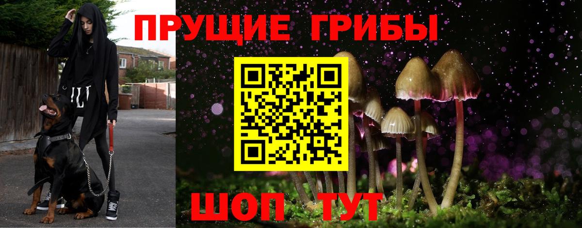 Псилоцибиновые грибы Magic Shrooms  Вход с VPN  Наро-Фоминск 