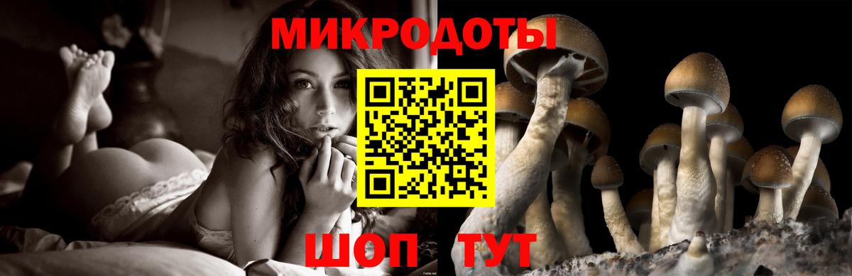 Галлюциногенные грибы Magic Shrooms Наро-Фоминск